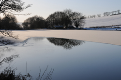 Mothers Day in Yester